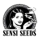 Sensi Seeds