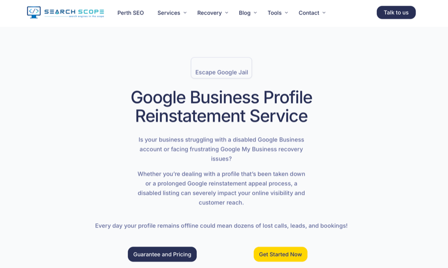 Google Business Profile Reinstatement Service webpage
