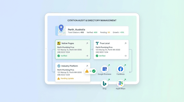 citation audit, cleanup & expansion